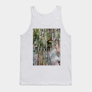 Broad-headed Skink Tank Top